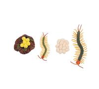 Mikikit 1 Ensemble Modèle Éducatif de Cycle de Vie Centipède de Jouets Apprentissage Cycle de des Arthropodes