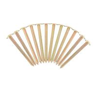 Mikikit 12Pièces Piquets de Marquage de Propriété Acier Inoxydable de Outils de Fixation pour Mesures Précises Jardinage et Construction