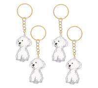 Mikikit 4pièces Porte-clés Poils De Chat Souvenir avec Capsule Transparente Ornement pour Clés Pendentif pour Animaux De Compagnie