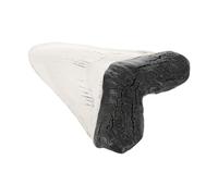 Mikikit Dents de Requin Rétro en Résine Époxy Décoration Modèle de Dents de Requin Ornement de Bureau Décoration de Préhistoire 10 CM