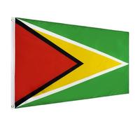 Mikikit Drapeau Personnalisé de Guyane 90x150cm en Polyester Léger Réutilisable pour Décoration Intérieure et Fêtes de Parade Nationale