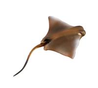 Mikikit Figurine d'animal Marin Réaliste en Plastique Petit Modèle de Poisson Aile pour Garçon et Filles Océan Éducatif pour Développement Cognitif et Imagination Présent Garçon Fille