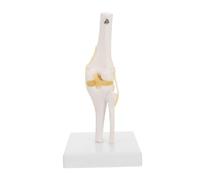 Mikikit Modèle Articulation Du Genou Anatomique et Pédagogique avec Base Amovible pour Enseignement des Pathologies Du Genou