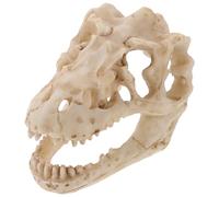 Mikikit Modèle Crâne Dinosaure Résine Décor Terrarium Compact Ornement Tête Mort pour Collection et Enseignement