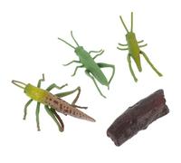 Mikikit Modèle de Croissance de Sauterelle 4 Pièces en Plastique Miniature Éducatif, Simulation Réaliste du Cycle de Vie, Pédagogique pour Garçon et Filles, Décoration Scientifique