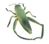 Mikikit Ornements De Sauterelle Jouets De Figurines D'insectes Réalistes Jouets D'insectes d'halloween De Fête D'insectes en Plastique Modèle De Fourmi Plastique Vert PVC