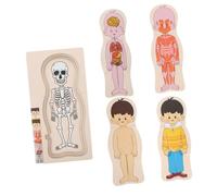 Mikikit Puzzle Bois Multicouche Corps Humain pour Garçon Fille Éducatif et Organes Aide Pédagogique Montessori pour Garçons et Filles Apprentissage Ludique des Organes Internes
