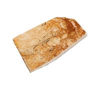 Mikikit Spécimen Paléontologique de Poisson à Nageoires Loup Décoration Marine Éducative Objet Pédagogique pour L'Enseignement des Sciences Spécimen de Créature Marine Fossile Unique