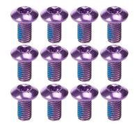Mikikit Vis en Acier Titane pour Vélo M5X10Mm Violet 12 Pièces pour Freins à Disque Compatible VTT et Vélo Électrique Montage Rapide