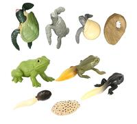 Mikinona 2 Ensembles Figurines Animaux Évolution Tortue Amphibien Simulation Réaliste Jouets Éducatifs pour Garçon Fille Décoration Anniversaire Forêt Ferme