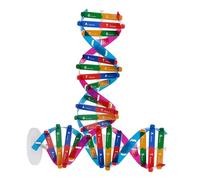 Mikinona 2 pièces Modèle ADN Double Hélice Construction Scientifique pour Garçon Fille Kit Éducatif de Gènes Humains Résistant et Pratique pour Enseignement et Laboratoire