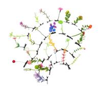 Mikinona 30 Pièces Hair Clips Set Quirky Sprout Plant Hairpins Artificial Fruit Flower Barrette For Women Party Cosplay