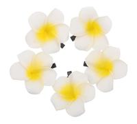 Mikinona 5pièces Pins à Cheveux Floraux Forme De Fleur De Plumeria Pour Femmes Accessoires De Cheveux Décoratifs Pour Plage Et Occasions Spéciales