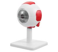 Mikinona Modèle Anatomique de L'œil Humain Agrandi 3x pour Enseignement Scientifique, Structure Détaillée et Pédagogique, Modèle Médical D'anatomie Oculaire Réaliste pour Étude et