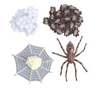 Mikinona Modèle Animal Cycle de Vie Jeu Éducatif de Simulation Insecte pour Garçon Fille Figurine Pédagogique pour Apprentissage Nature et Décoration