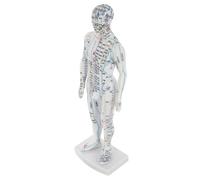 Mikinona Modèle Corporel D’exposition Acupuncture Masculine Blanc, Support Pédagogique Points D’acupuncture Et Méridiens, Outil D’apprentissage Médecine Chinoise Pour Formation Et Massage