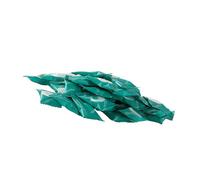 Mikinona Serviettes Visage Jetables Compressées en Fibres Végétales Blanches, Absorption D'eau Élevée, 50 Pièces pour Voyage et Soins en Source Chaude