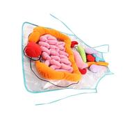 Mikinona Tablier Éducatif D'anatomie Corporelle 3D pour Garçon et Filles 60x44 Cm en Polyester Matériel Pédagogique Préscolaire pour Apprentissage Ludique des Organes Internes