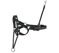 Mikki Walk-Ease Harnais de tête pour chien Taille XL