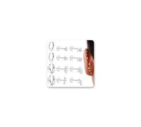 Milacolato 6 Paires Piercing Tragus Acier Inoxydable Hypoallergénique Piercing Oreille Filetage Interne Boucles d'Oreilles Creoles Plaqué Argent Piercings Helix Nez Labret Conch Cartilage pour Femme