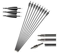 MILAEM Flèche de Carbone 34" Flèches de Chasse Plume Nature avec 100 Grains Pointe de Flèche Remplaçable Spine 500 pour Arc à poulies Arc Classique (Flèches)