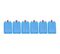 Milageto 6 Pièces Boîtes à Glace Robustes et Portables, Glacières Blocs de Congélation Multifonctionnel Léger, Blocs de Congélation pour Ventilateur Extérieur Familial, 250ML