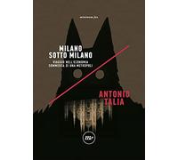 Milano sotto Milano. Viaggio nell'economia sommersa di una metropoli