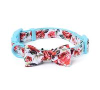 Mile High Life | Collection Florale de Printemps | Tissu en Coton et Poly Soyeux | Collier pour Chiennes | Noeud Papillon | Collier Bandana