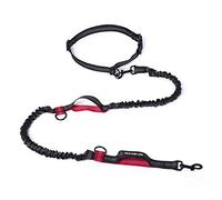 Mile High Life Laisse de Course pour Chien Ajustable, réfléchissante, avec Deux poignées rembourrées et Un élastique Durable pour Les Petits, Moyens et Grands Chiens