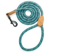 Mile High Life | Laisse pour Chien d'escalade avec Fermoir Robuste en métal Robuste | Connexion sur Mesure en Cuir véritable avec Coutures Solides (Vert, 1.8 M)
