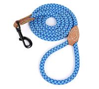 Mile High Life | Laisse pour Chien d'escalade avec Fermoir Robuste en métal Robuste | Connexion sur Mesure en Cuir véritable avec Coutures Solides (Bleu Ciel, 1.5 M)