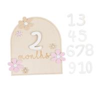 Milisten 1 Ensemble Disques de Jalons Mensuels pour Accessoires Photo pour Enregistrement de Cartes Événementielles pour Nouveaux