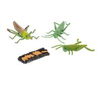 Milisten 1 Ensemble Modèle de Éducatif Cycle de des Sauterelles pour Figurines Cognitives Réalistes pour Éducation Scientifique Activités Montessori