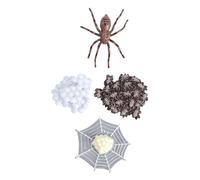 Milisten 1Ensemble Modèles de Évolution Animale Décorations de Fête et Accessoires Éducatifs pour Garçon Fille Simulation Réaliste des Cycles de Vie des Insectes
