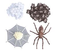 Milisten 1Ensemble Modèles Évolution Animale Simulation Réaliste Ornements Éducatifs pour Maison et Enseignement Comprend Coccinelle Tarentule
