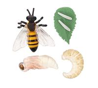 Milisten 1Ensemble Pédagogique Miniature Abeille Simulation Cycle de Vie des Insectes pour Éducatif Décoratif