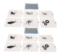 Milisten 2 Ensembles Kit Expérimental DIY pour Garçon Fille Éducatif Optique et Illusion pour Apprentissage Précoce et Activités Créatives