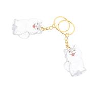 Milisten 2 Pièces Boîte Mémoire Poils de Chien Transparente Porte-clés Commémoratif Urne Coffret Souvenir Animalier pour Propriétaires de Chiens