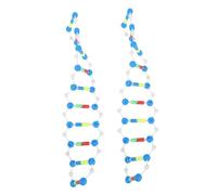 Milisten 2 pièces Modèle Double Hélice Kit Scientifique Éducatif Structure Moléculaire Stem Pédagogique pour Enseignement Génétique et Expérimentation