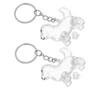 Milisten 2 Pièces Porte-clés Boîte de Rangement Poils Chien Transparent Contenant Souvenir Poils Chiot Organisateur Portable Mémorial Animal Coffret Collection Pelage