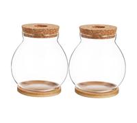 Milisten 2ensembles Station Arrosage pour Jardinière Verre avec Plateau Et Couvercle pour Plantes Et Terrarium Support De Composition