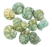 Milisten 5 Ensembles Fish Tank Aménagement Paysager Conque Petite Conque Décorations Fish Tank Décorations Réservoirs Fish Tank Plantes Titulaire Bernard-L'Ermite Sea Shell 10 pièces * 5