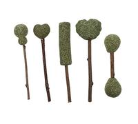 Milisten 5 pièces Sucettes Chat Naturelles Bâtonnets de Catnip Comestibles Snacks pour Chat Favorisant Digestion et Calmant et Sûr Accessoires pour Distraction et