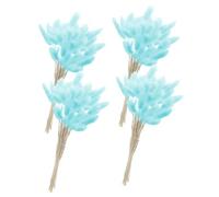 Milisten 60 Tiges de Fleurs Séchées Queue de Lapin Naturelles Bleu Clair, Bouquet Décoratif DIY pour Mariage, Fête et Décoration Intérieure, Plante Séchée Ornementale pour Photo