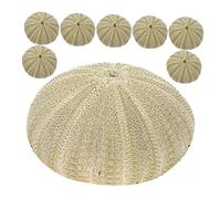 Milisten 8 pièces Natural Sea Urchin Shells for DIY Crafts Micro Landscaping Adornments Fish Tank Decorations Decorative Vase Fillers Versatile Home and Wedding Décor