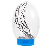 Milisten Aquarium avec Lumière LED Bocal à Poisson Kits De Démarrage D'aquarium Écosphère Aux Crevettes Aquarium De L'écosystème Tableau D'aquarium Bouteille De Bureau Plastique
