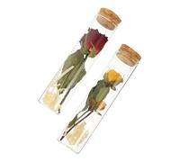 Milisten Bouteilles à Souhaits avec Mini Fleurs Séchées en Verre Lot de 2 Décorations en Verre Transparent Élégantes et Raffinées pour Bureau et Toutes Occasions