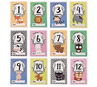 Milisten Cartes Mensuelles Animaux pour Bébé 12 Pièces Double Face, Matériau Solide, Cartes pour Photographie et Décoration, né, Anniversaire Premier An, Coffret Présent Baby Shower