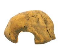 Milisten Caverne De Réptile Résine Refuge pour Tortues Et Lézards Accessoire De Terrarium Plateforme De Jeu Décor Naturel pour Aquariums Et Terrariums