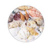 Milisten Coquillages Naturels Décoratifs pour Aquarium Grands Cauris Marins pour Décoration Méditerranéenne Accessoires Uniques pour Terrarium et Habitat Océanique